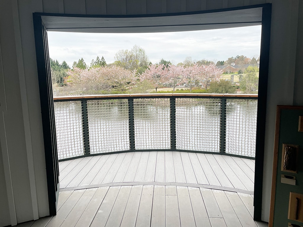 View of lake from lookout tower