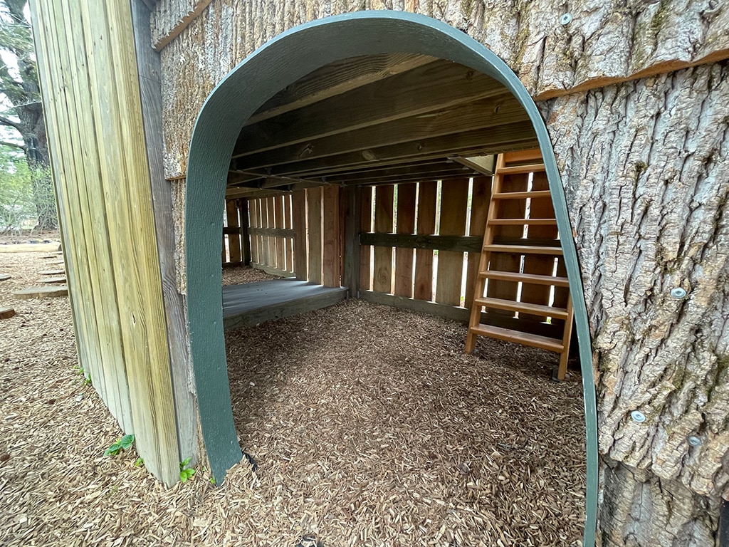Ladder into lookout tower
